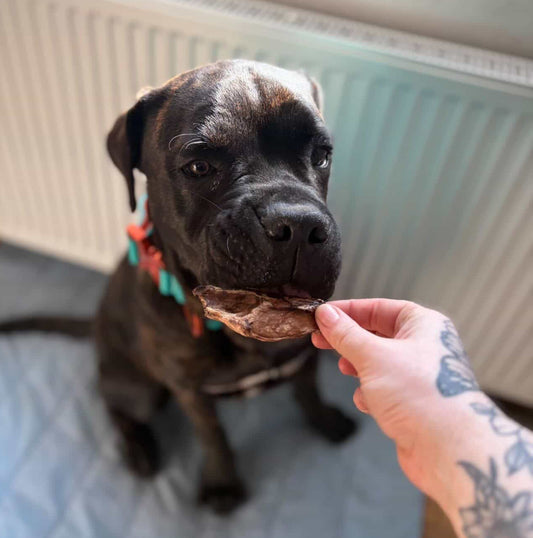 Puffed Beef Lung
