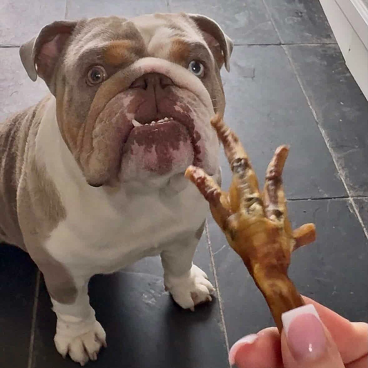 Chicken Feet
