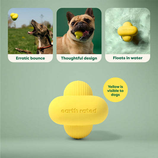 Earth Rated Fetch Toy