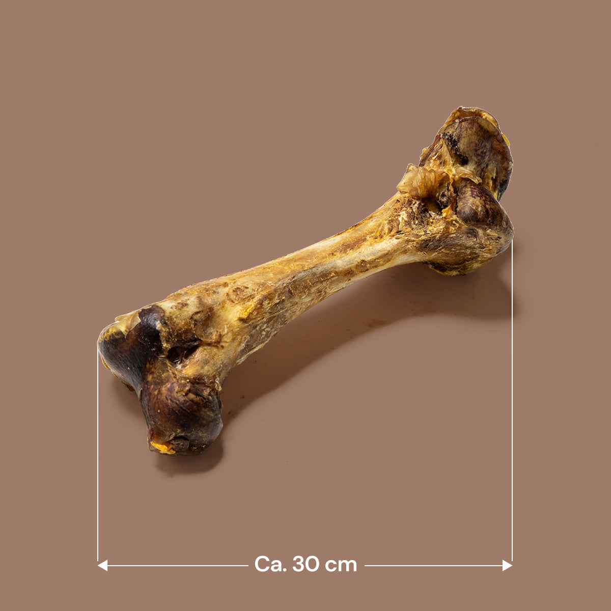 Jumbo Ostrich Bone