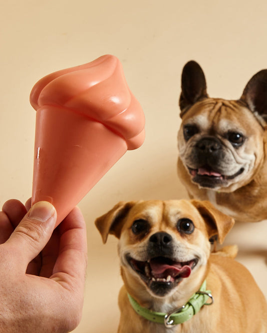 Whippy Squeaky Toy