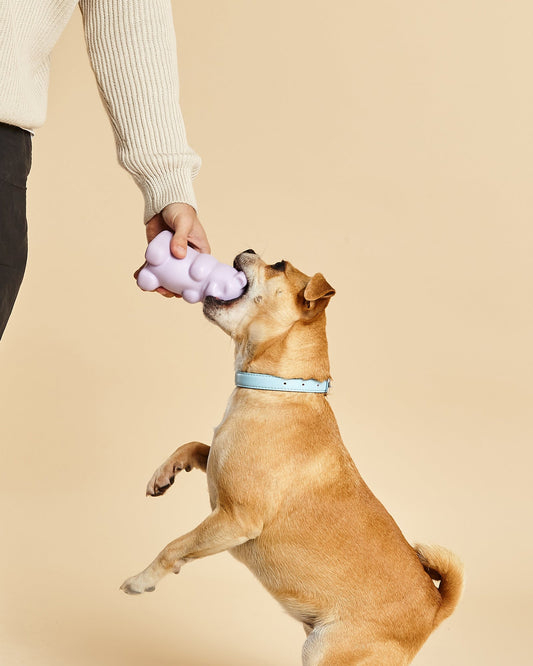 Gummy Bear Squeaky Toy
