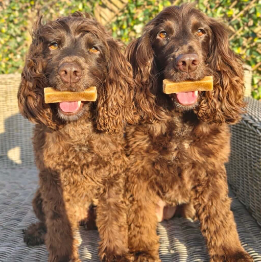 Yak Chews