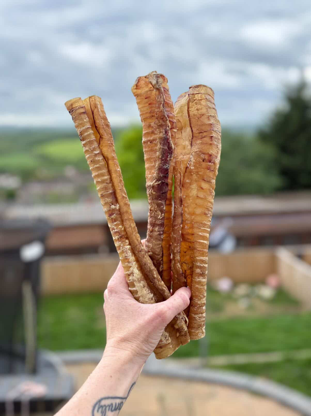 Long Beef Trachea