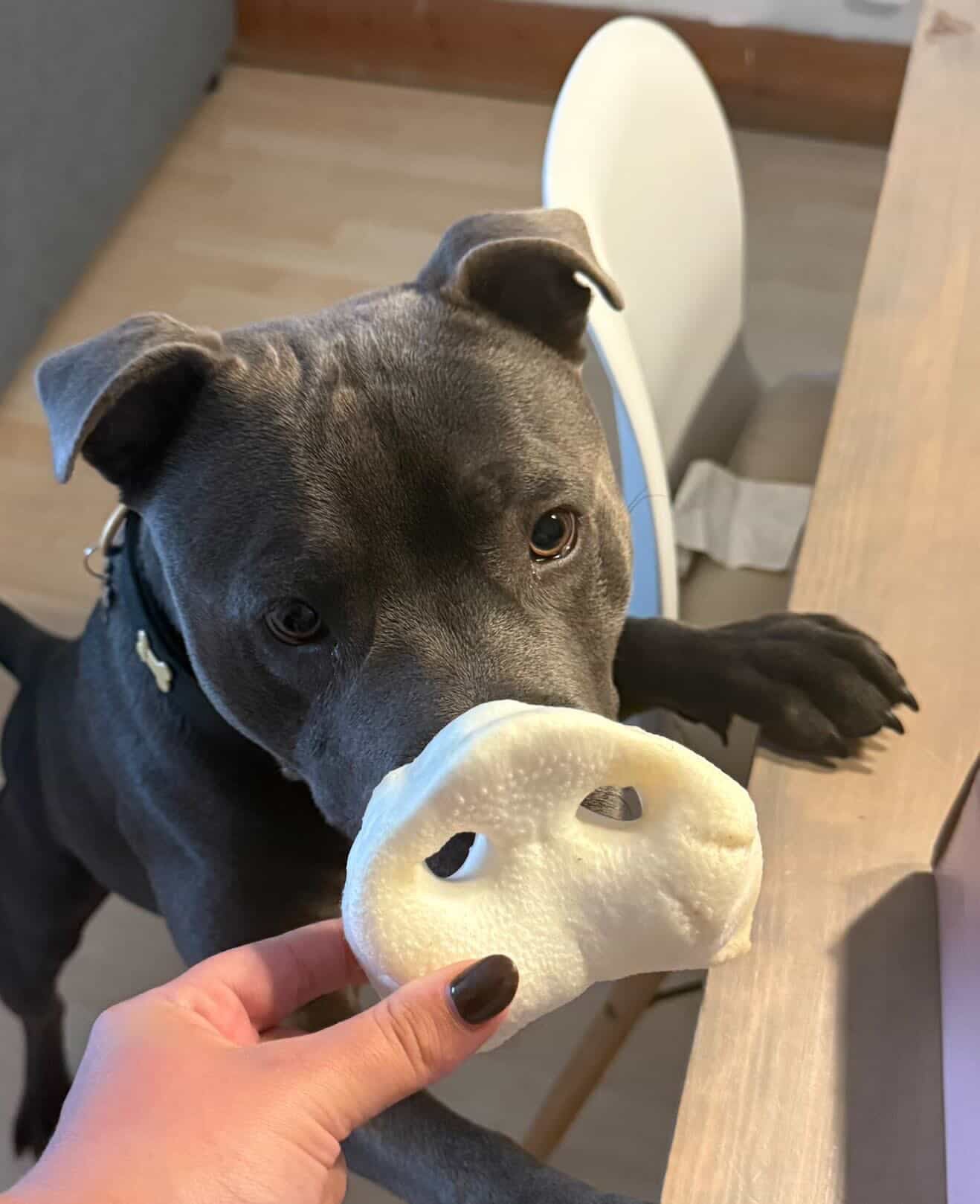 Puffed Pig Snouts