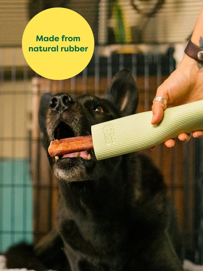 Earth Rated Chew Toy