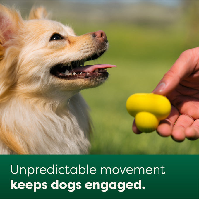 Earth Rated Fetch Toy