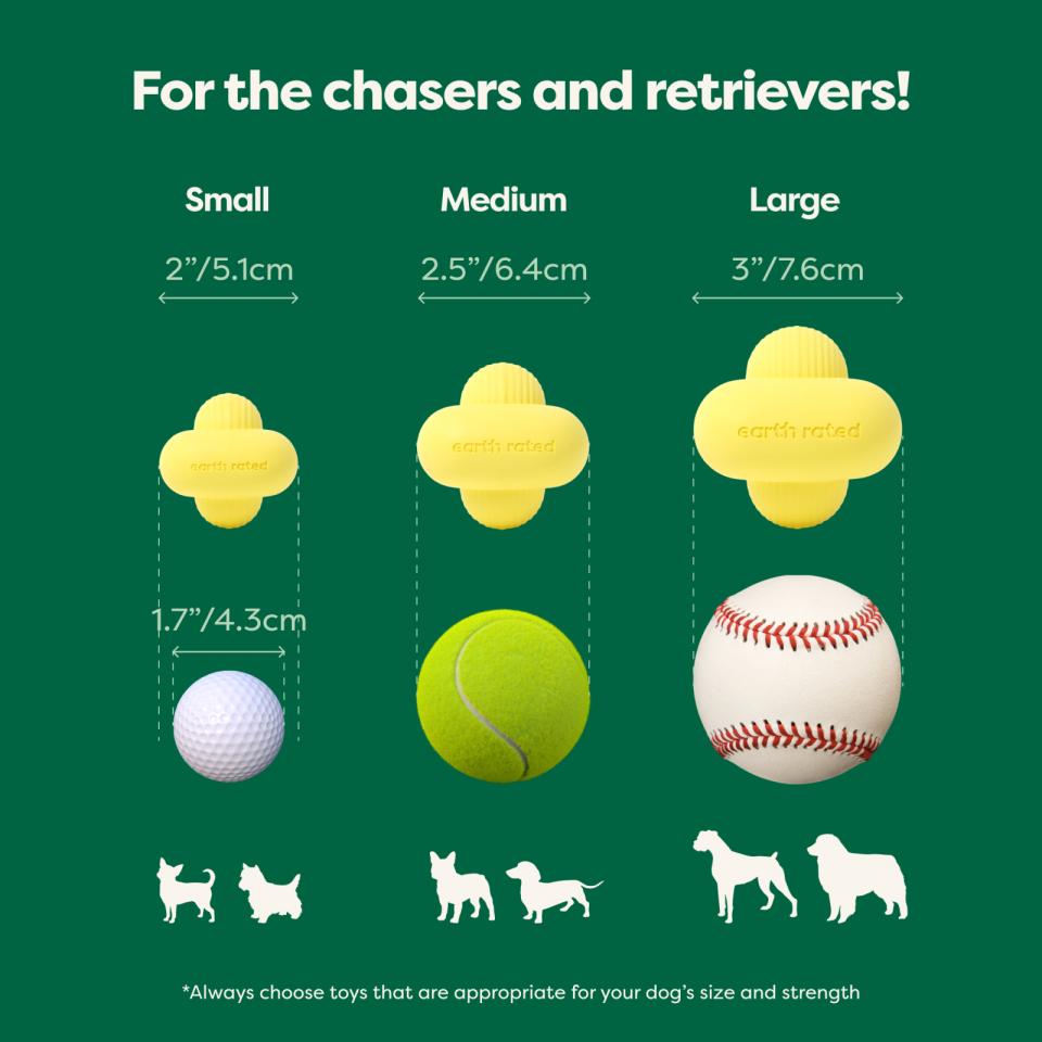 Earth Rated Fetch Toy
