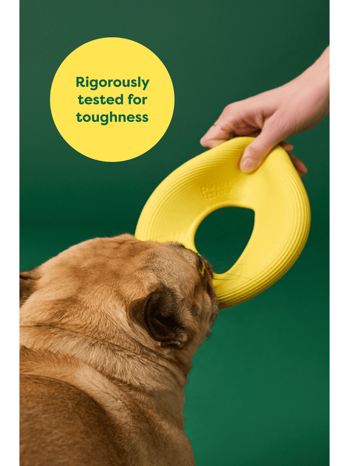 Earth Rated Fly Toy