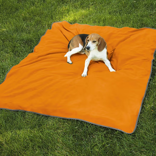 Insect Shield Blanket (Medium & Large)