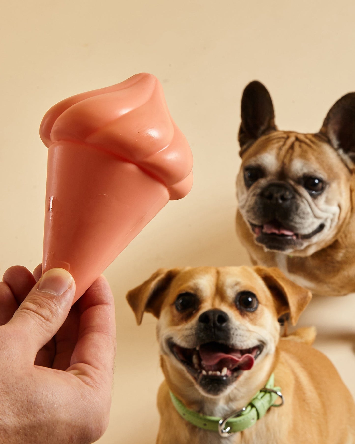 Whippy Squeaky Toy