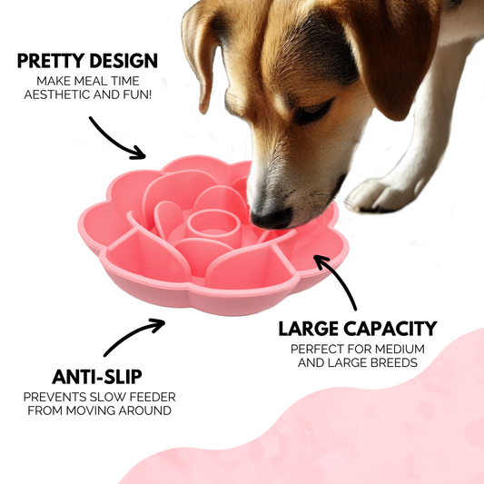 Rose Slow Feeder