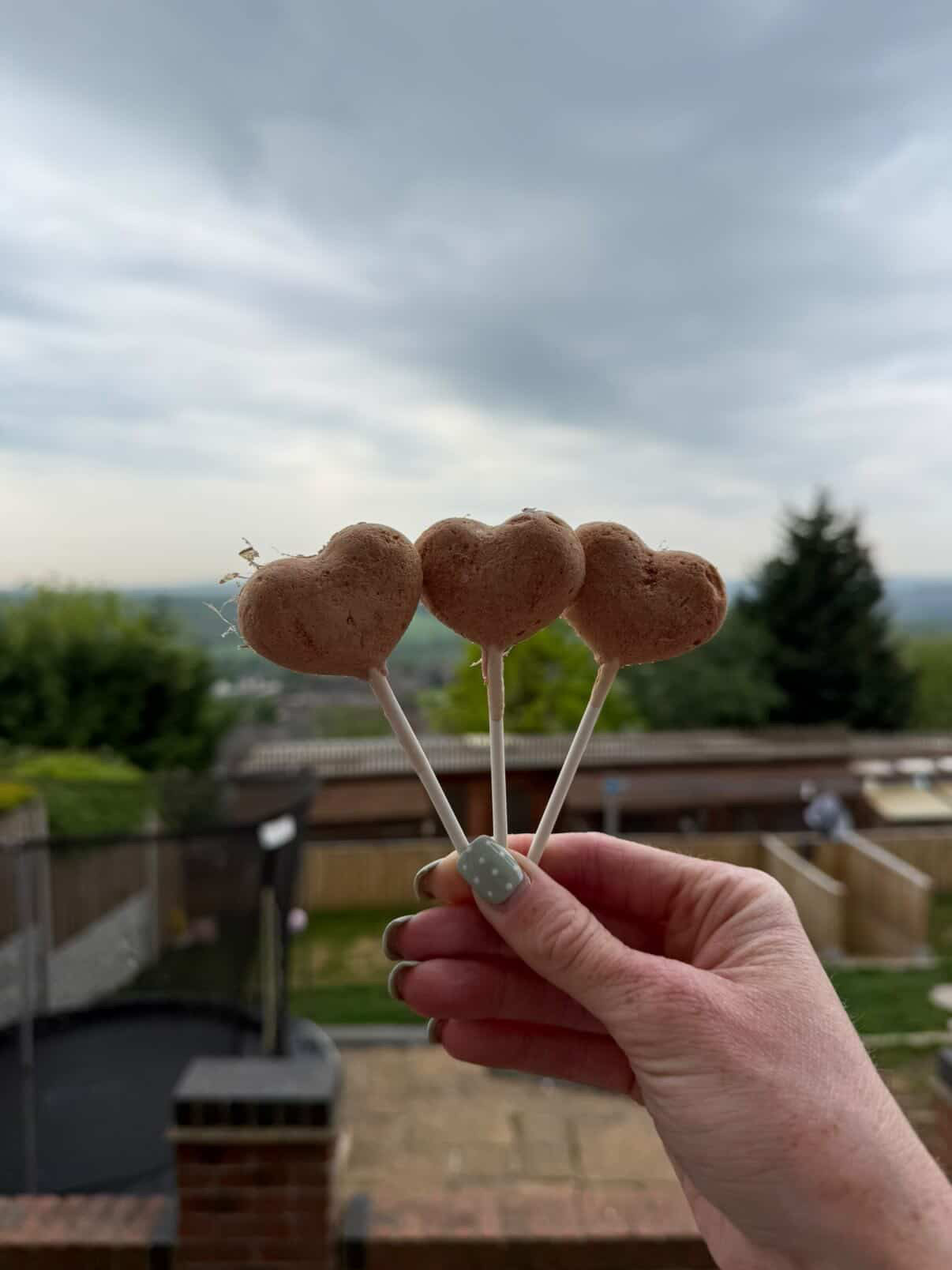 Chicken & Purple Potato Lollipops