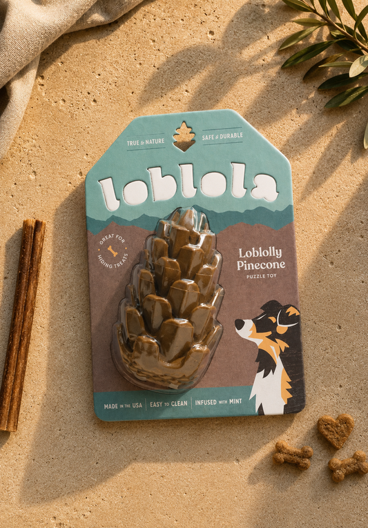 Loblolly Pinecone