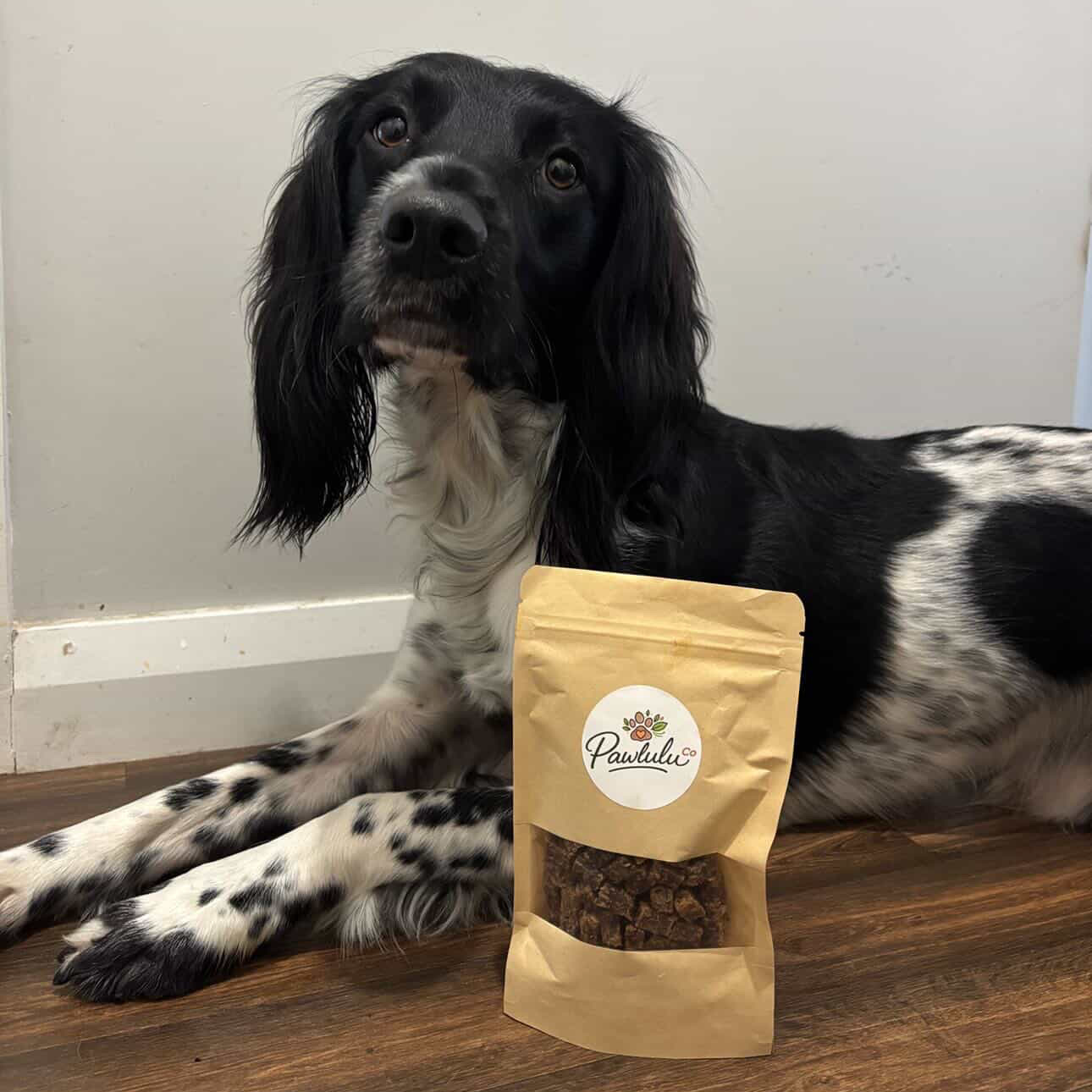 Training Treats
