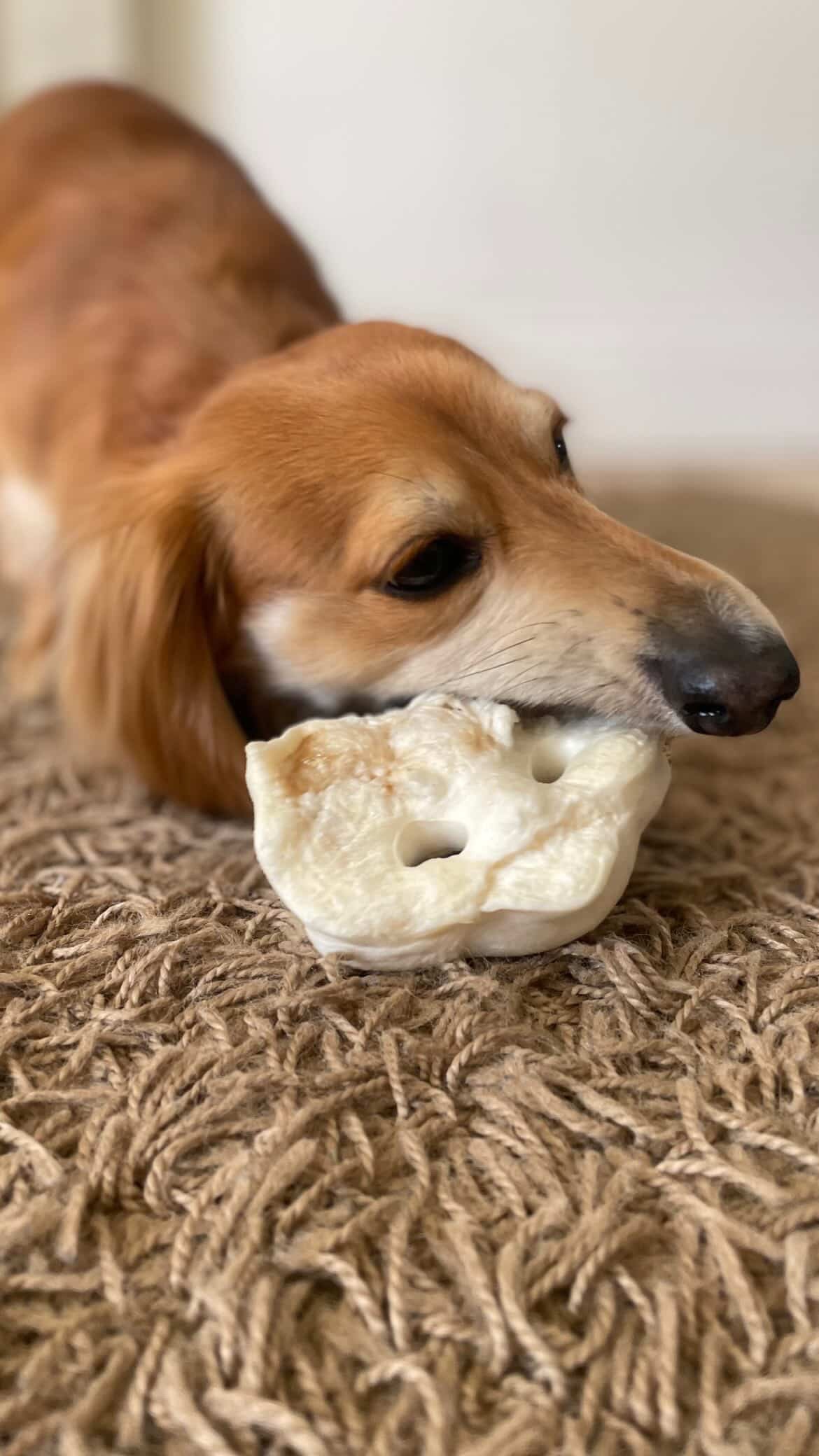 Puffed Pig Snouts