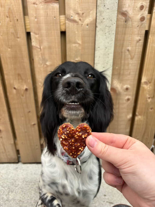 Duck Hearts