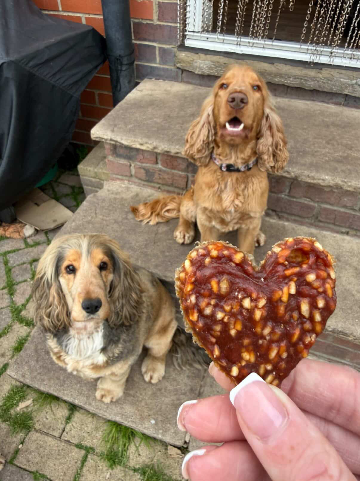 Duck Hearts