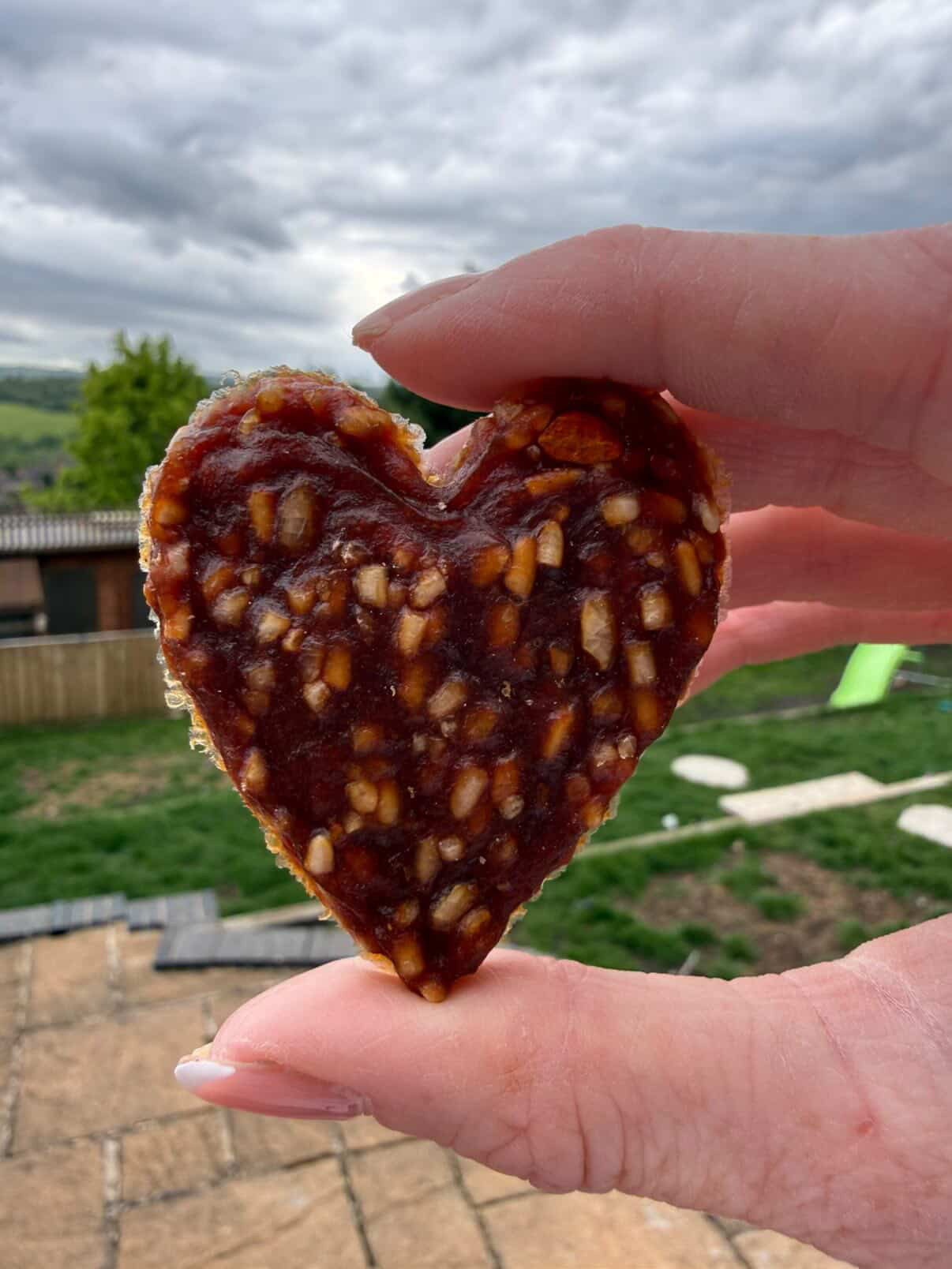 Duck Hearts