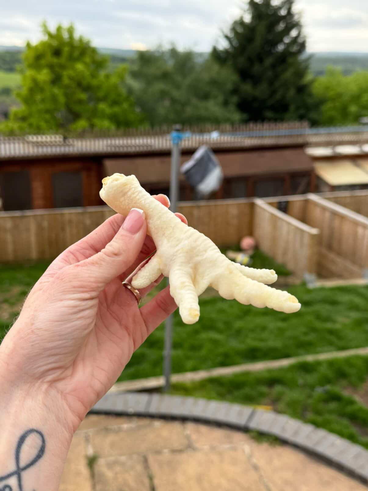 Puffed Chicken Feet