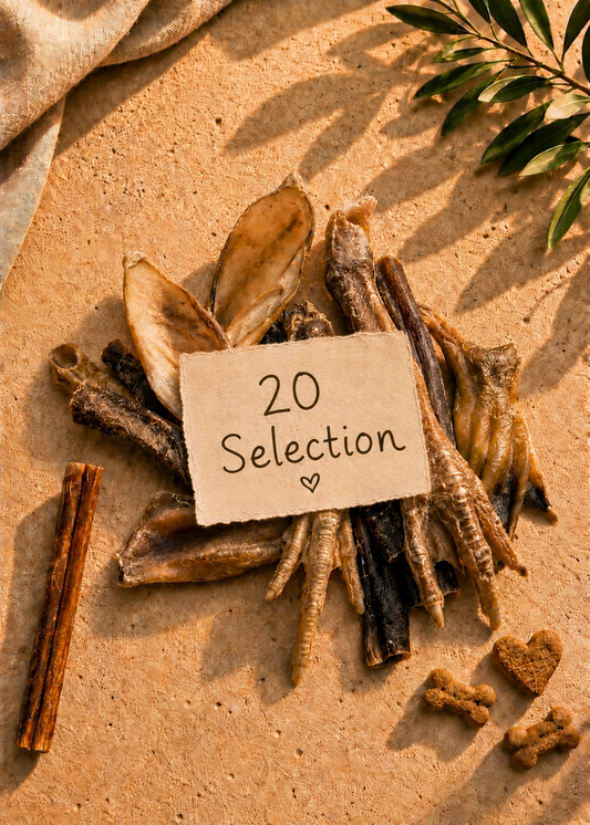 20 Selection