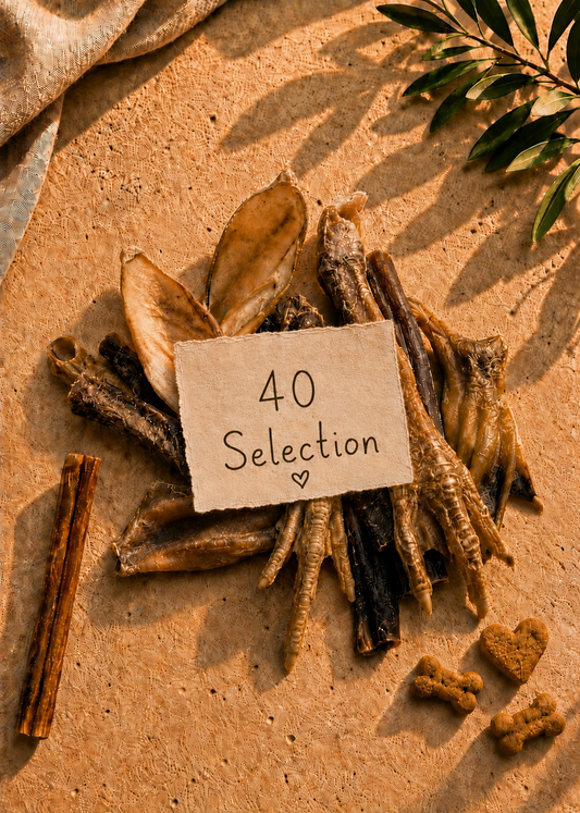 40 Selection